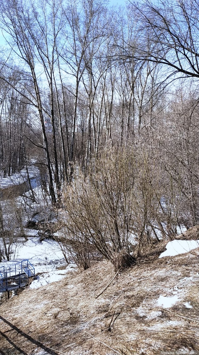 Борьба зимы с весной в роще | Бэйбики Борьба зимы с весной в роще