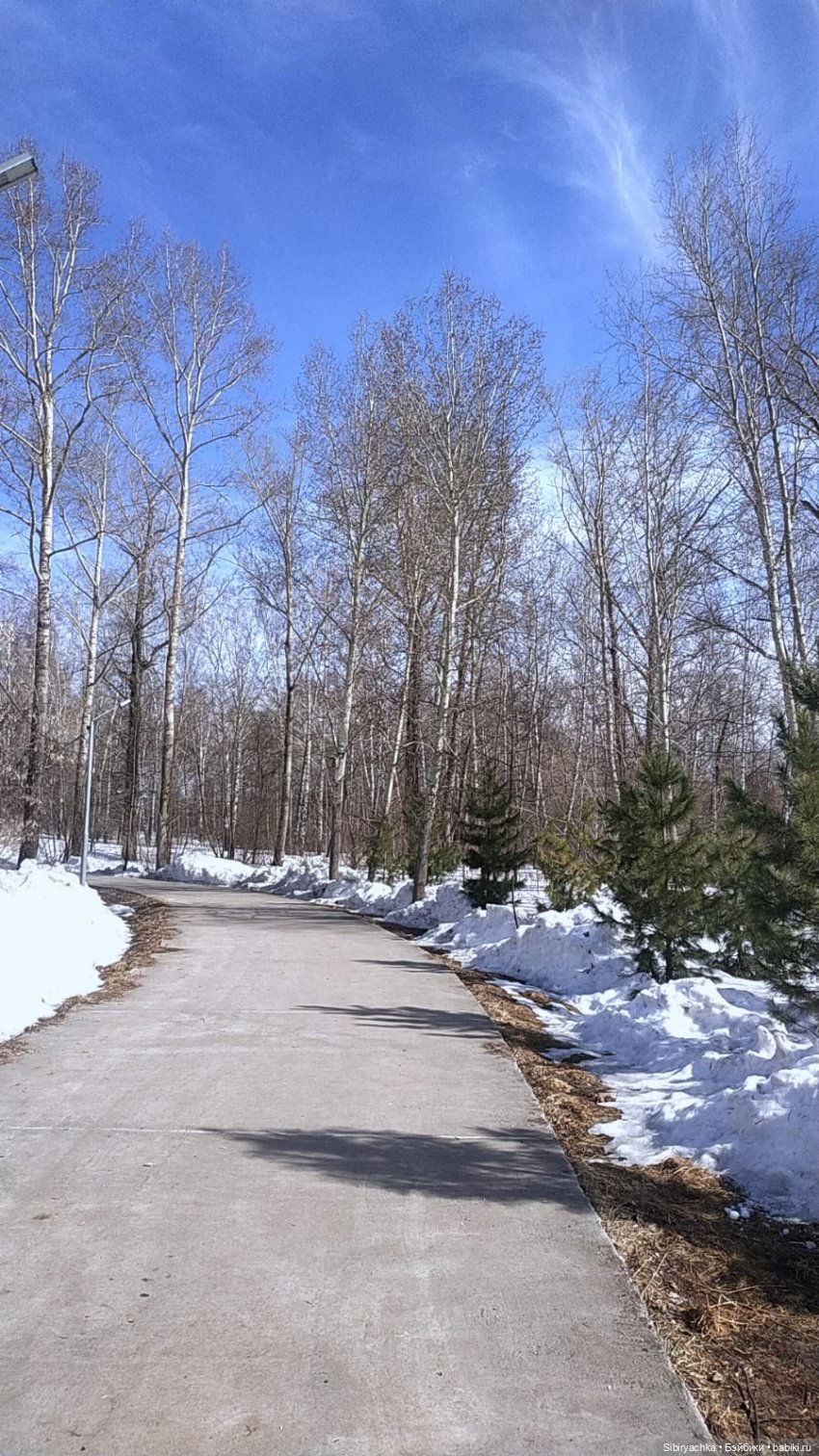 Борьба зимы с весной в роще | Бэйбики Борьба зимы с весной в роще