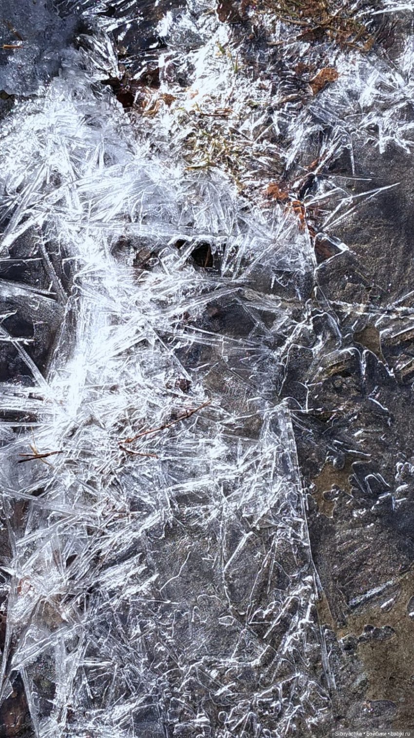 Борьба зимы с весной в роще | Бэйбики Борьба зимы с весной в роще