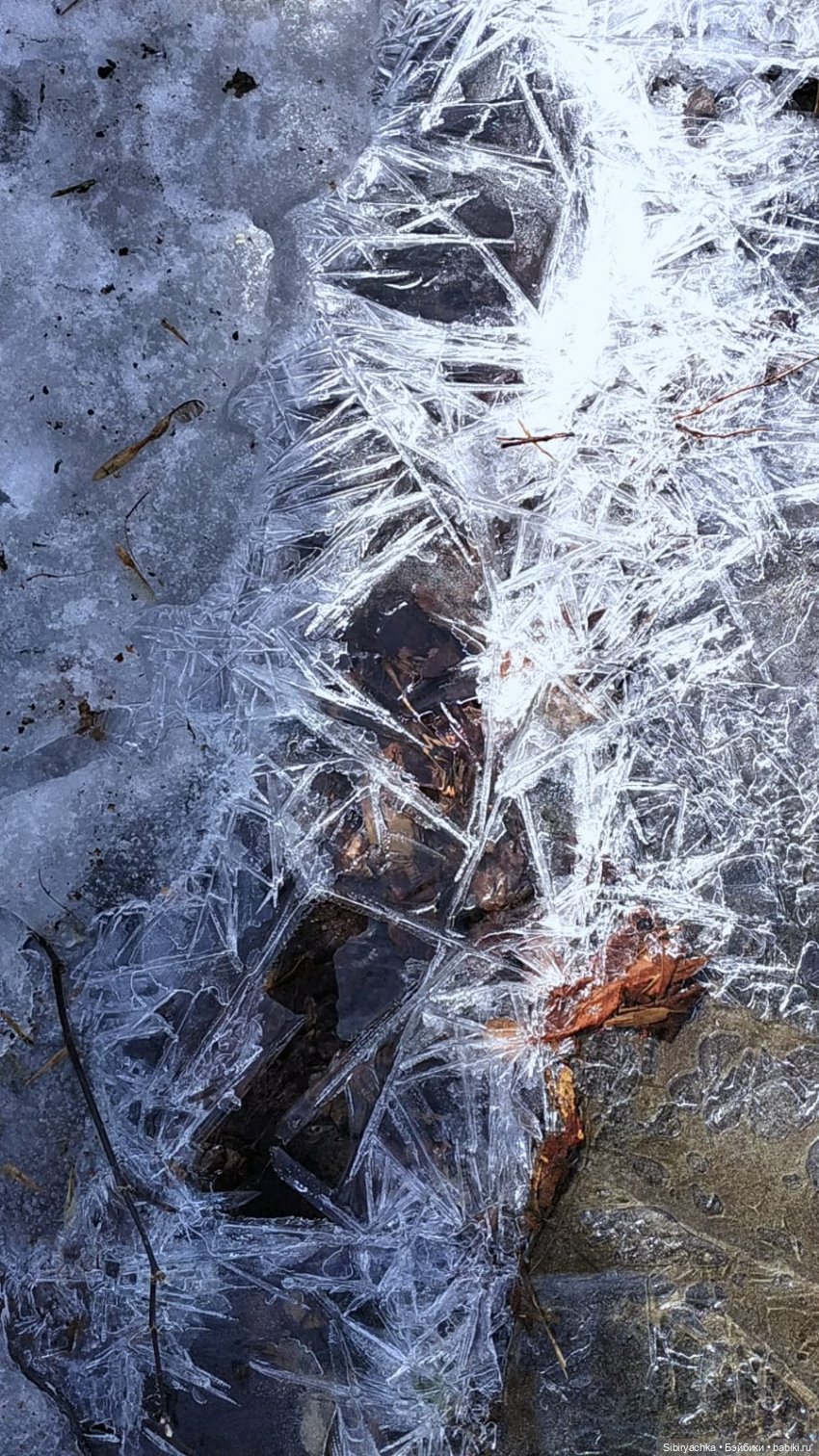 Борьба зимы с весной в роще | Бэйбики Борьба зимы с весной в роще