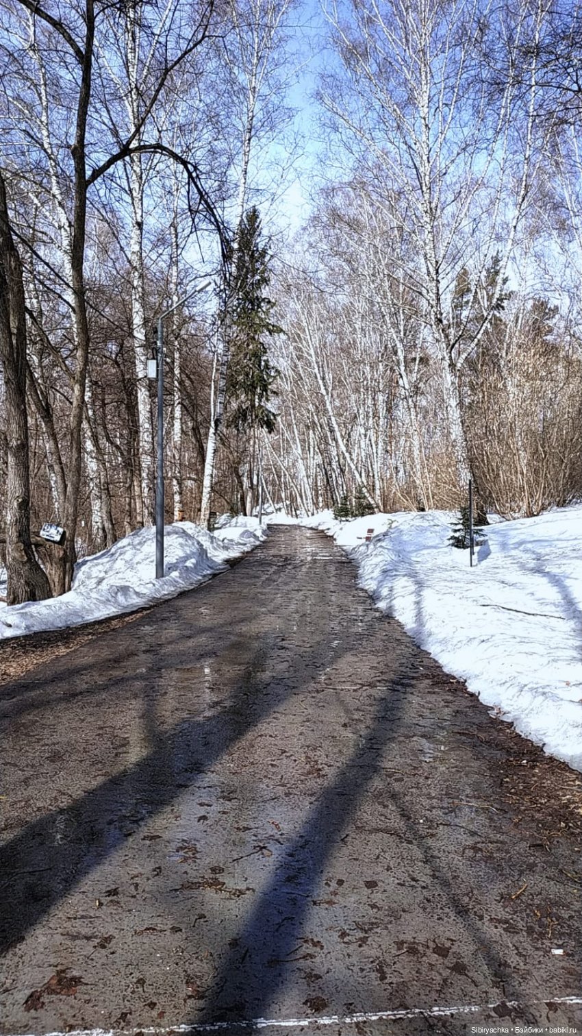 Борьба зимы с весной в роще | Бэйбики Борьба зимы с весной в роще