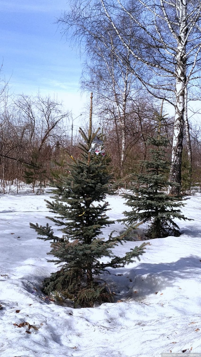 Борьба зимы с весной в роще | Бэйбики Борьба зимы с весной в роще