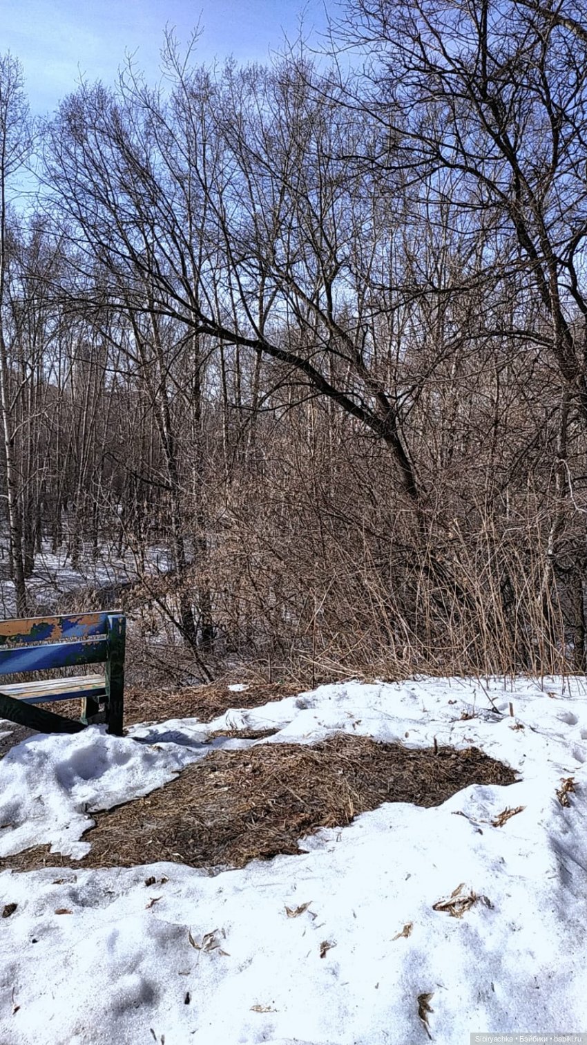 Борьба зимы с весной в роще | Бэйбики Борьба зимы с весной в роще