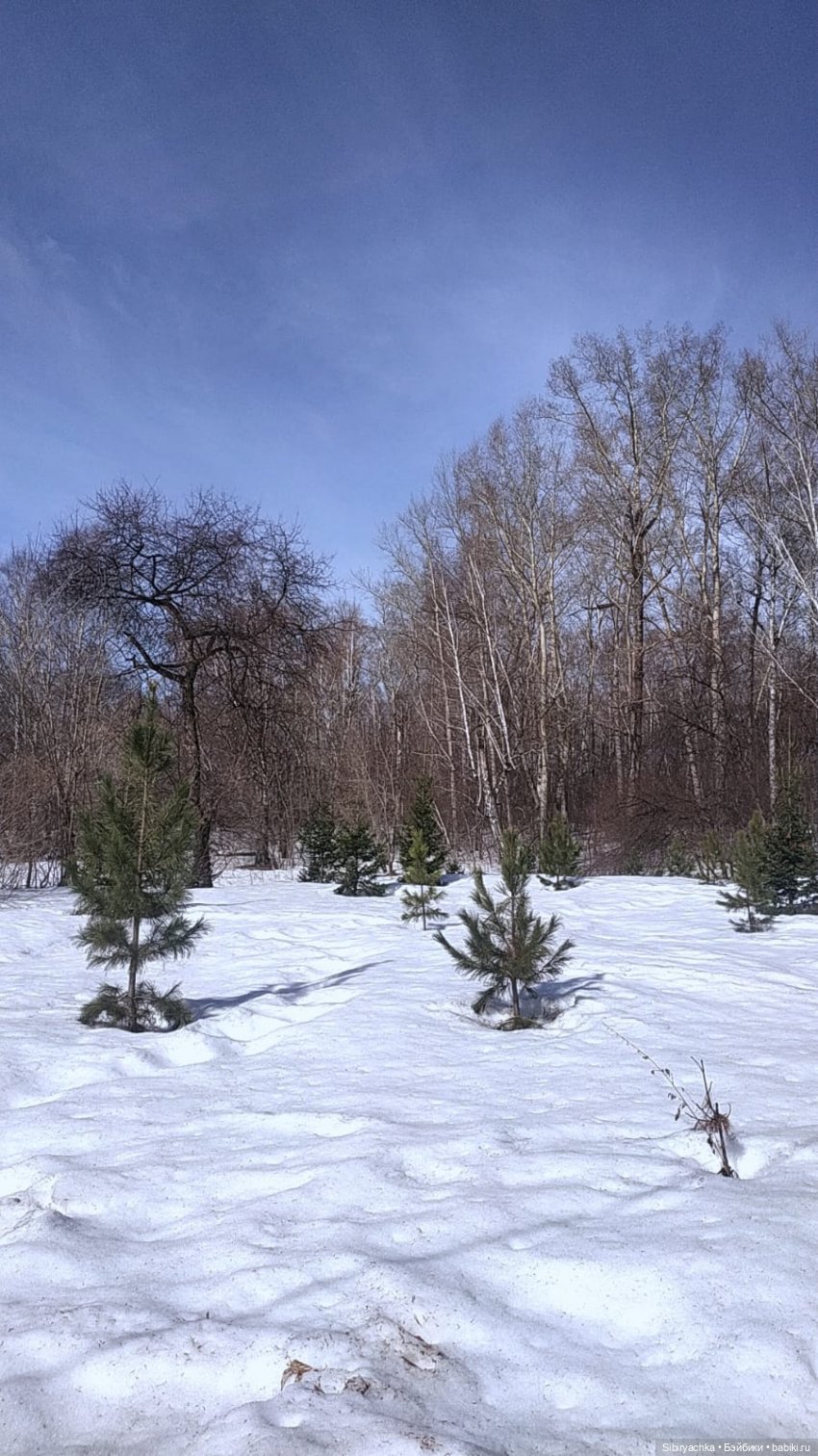 Борьба зимы с весной в роще | Бэйбики Борьба зимы с весной в роще
