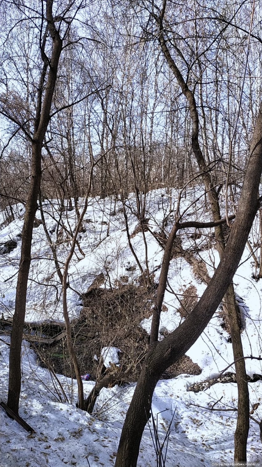 Борьба зимы с весной в роще | Бэйбики Борьба зимы с весной в роще