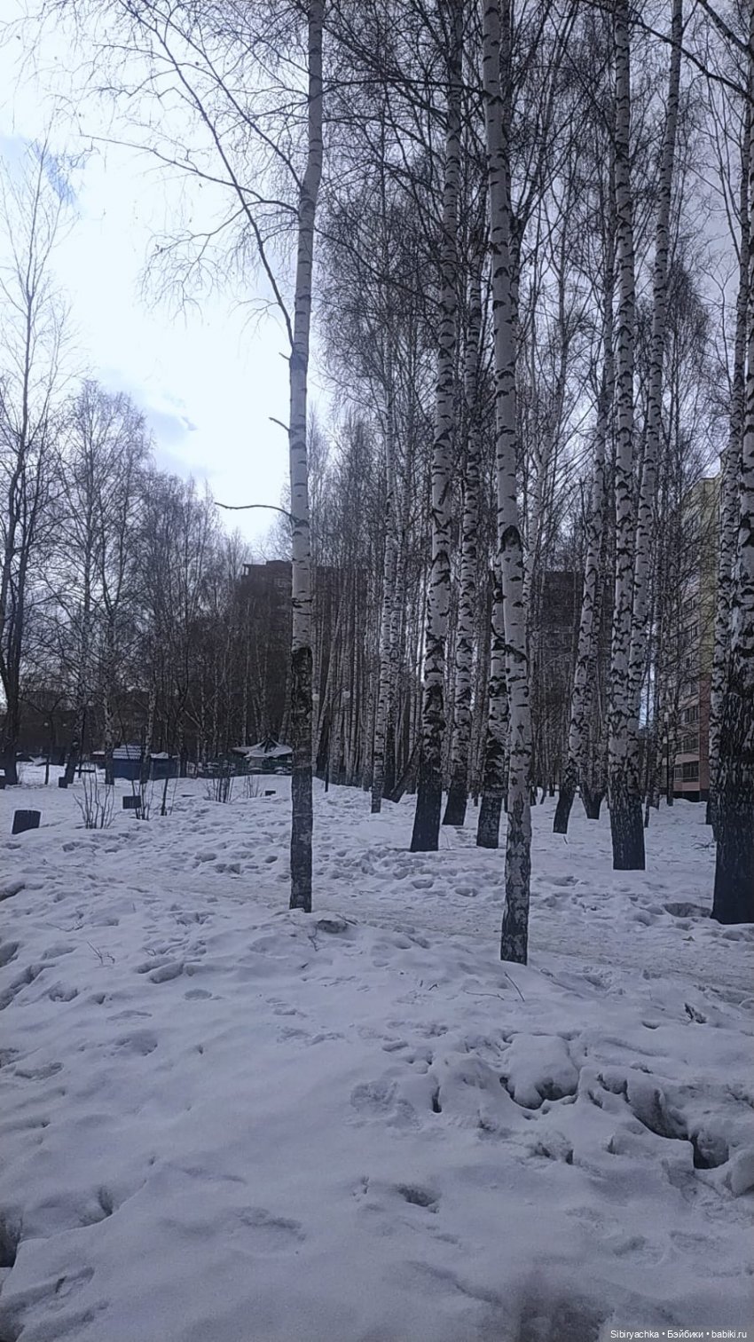 За полтора месяца до лета (фото 2)
