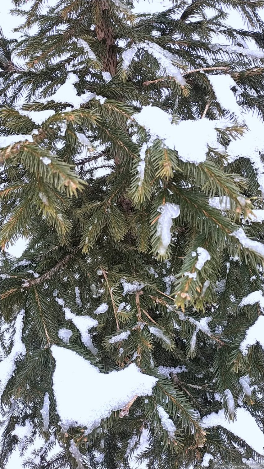 За полтора месяца до лета