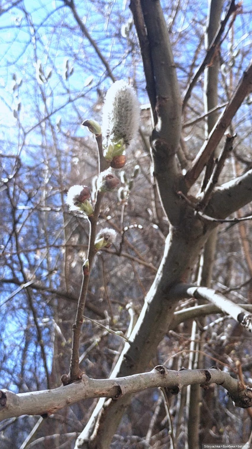 Первая прогулка Аришки — Советские винтажные куклы (СССР): Ленигрушка (фото 2)