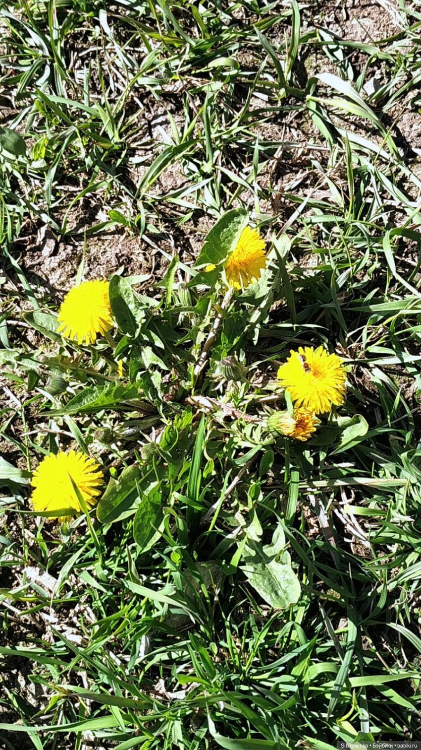 Первая прогулка Аришки — Советские винтажные куклы (СССР): Ленигрушка