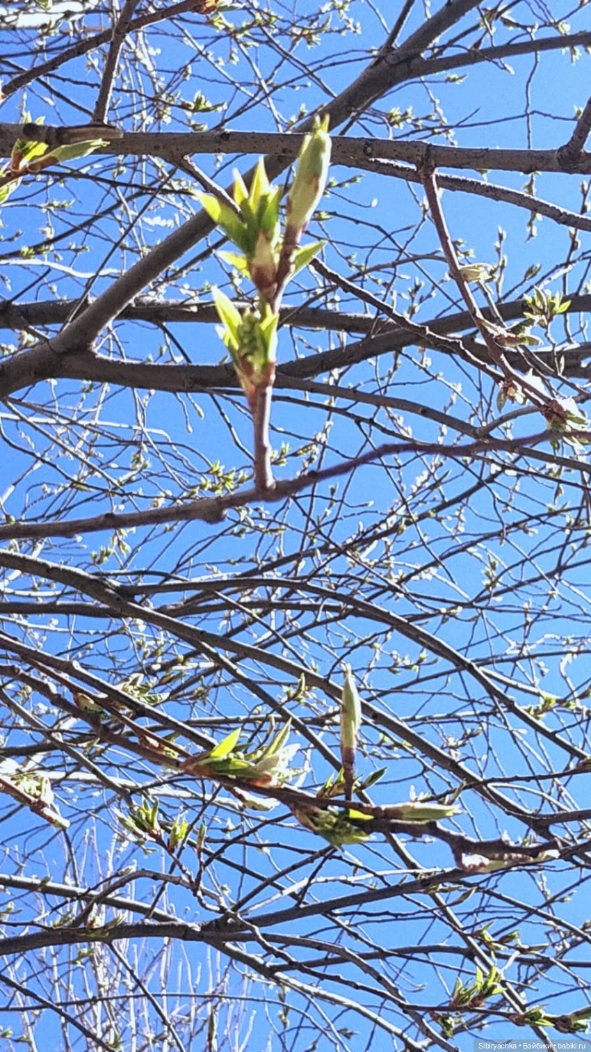 Первая прогулка Аришки — Советские винтажные куклы (СССР): Ленигрушка (фото 6)