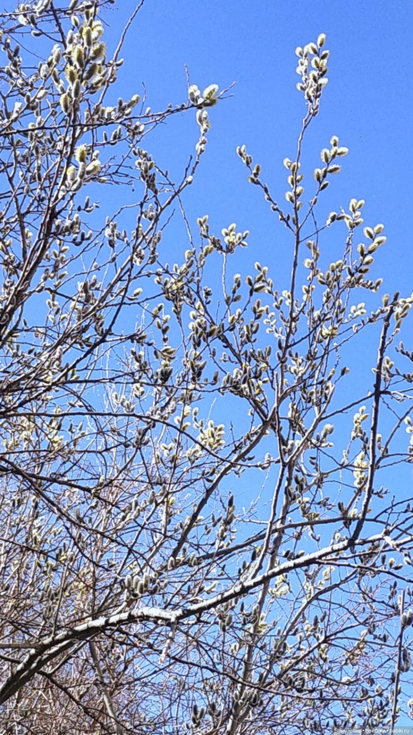 Первая прогулка Аришки — Советские винтажные куклы (СССР): Ленигрушка