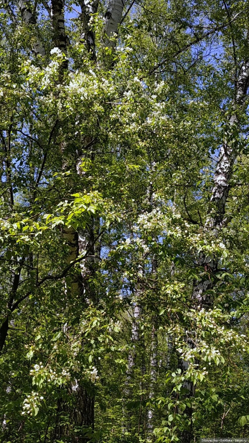 Прогулка Марьяшки. Часть 2