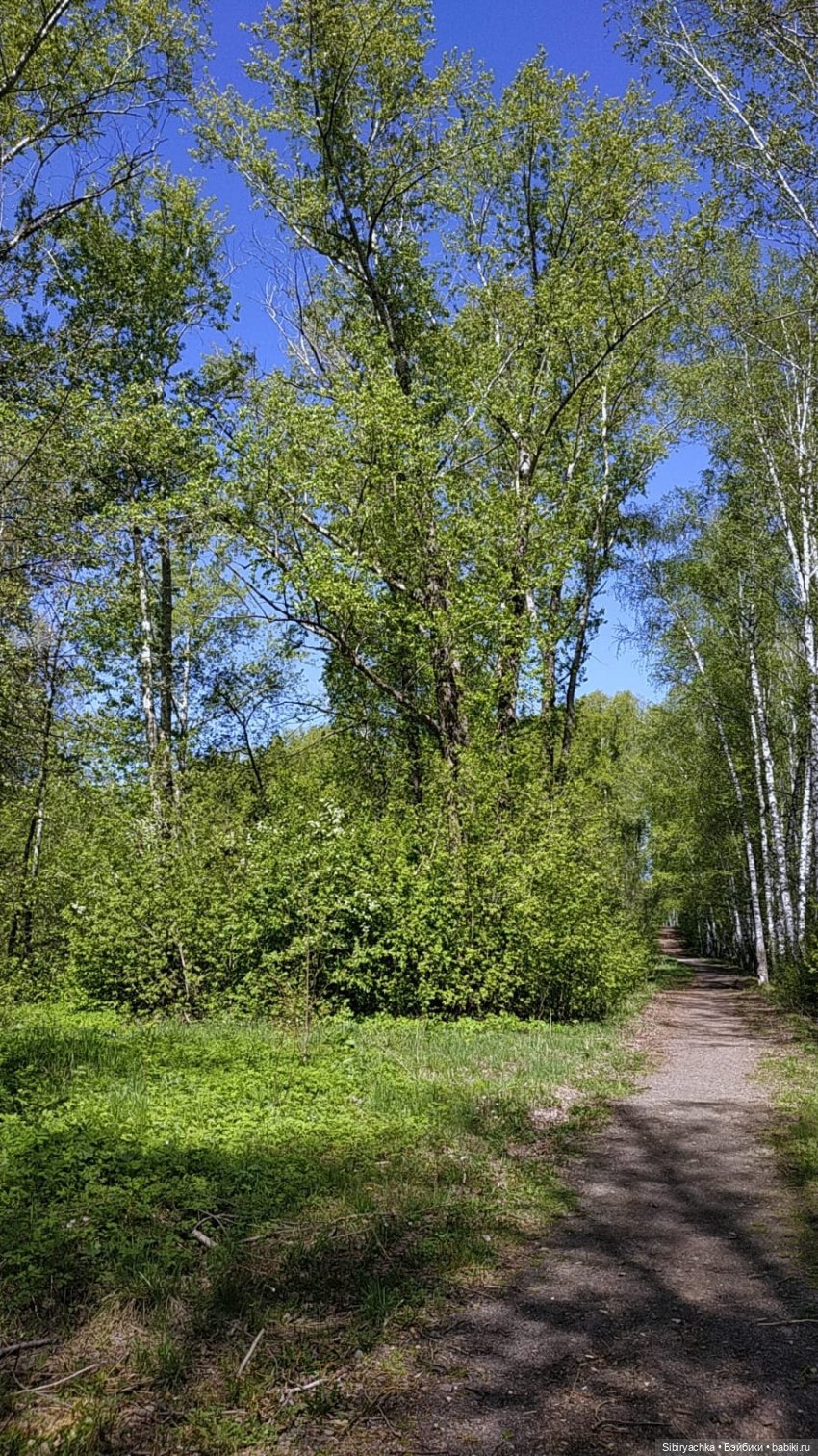 Прогулка Марьяшки. Часть 2