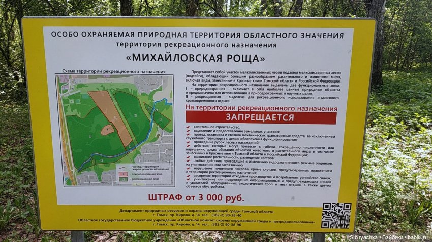 Юляшка и Аришка гуляют в роще (фото 5)