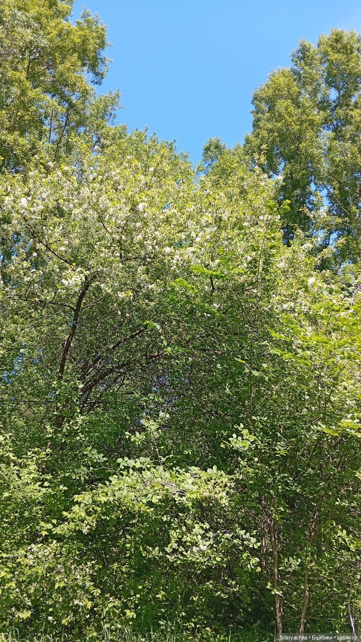 Новая жизнь старой куклы — Советские винтажные куклы (СССР): Ленигрушка
