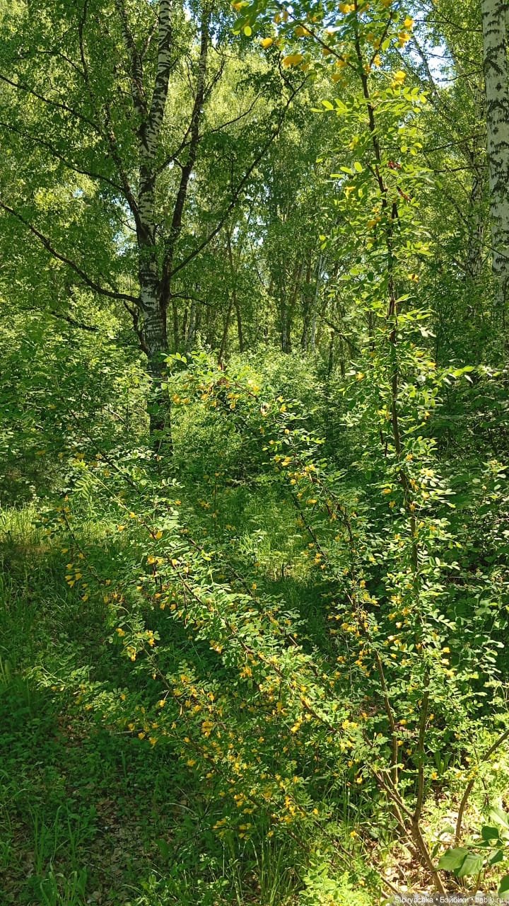 Новая жизнь старой куклы — Советские винтажные куклы (СССР): Ленигрушка (фото 10)