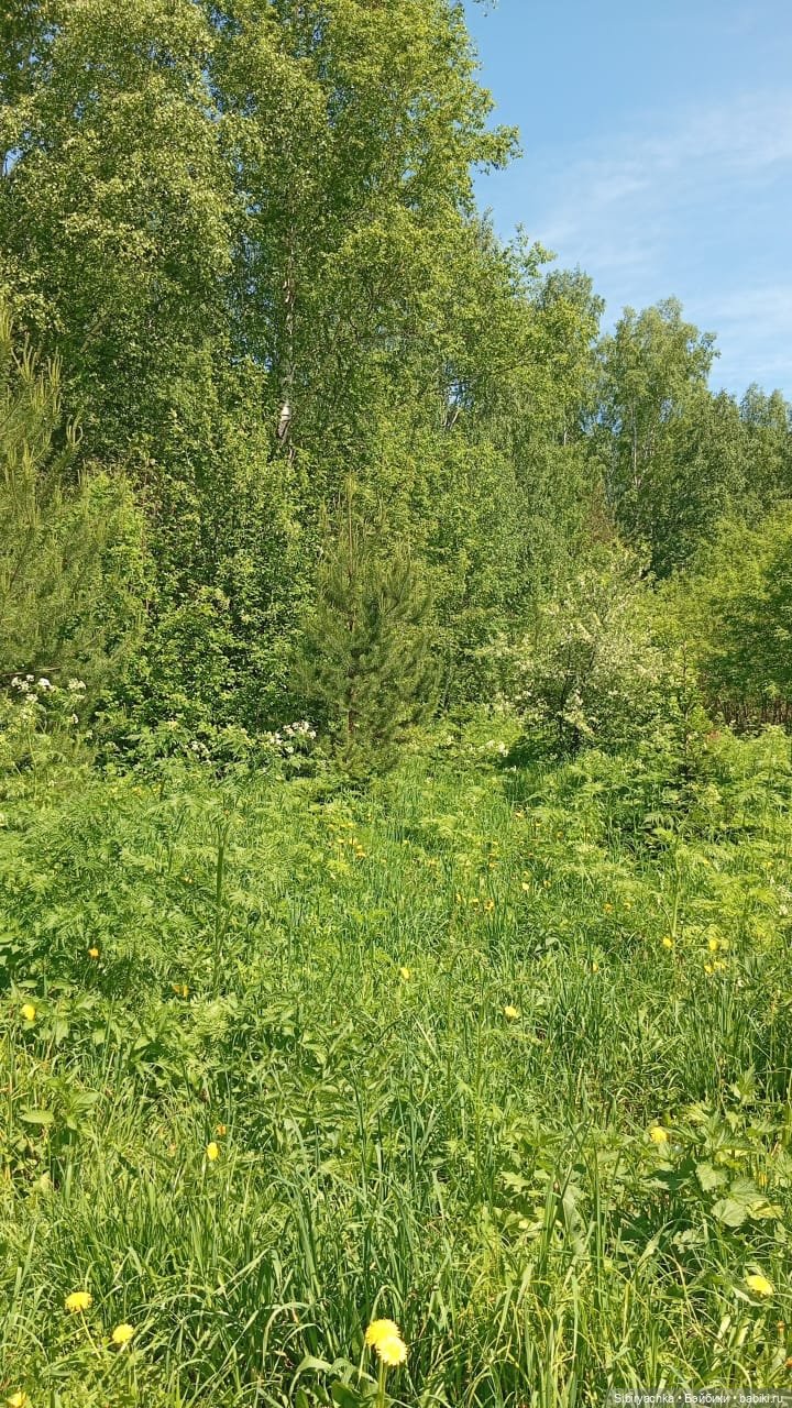 Новая жизнь старой куклы — Советские винтажные куклы (СССР): Ленигрушка (фото 8)