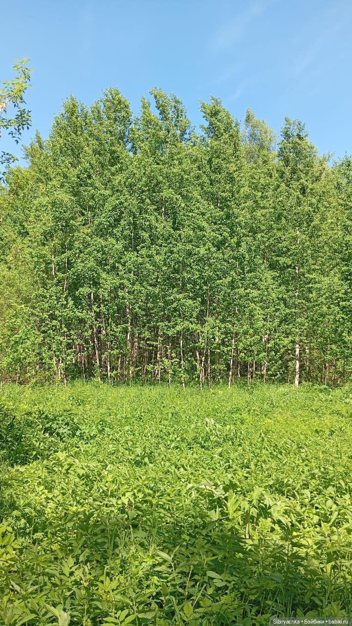 Новая жизнь старой куклы — Советские винтажные куклы (СССР): Ленигрушка