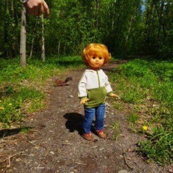 Неожиданные встречи в роще.