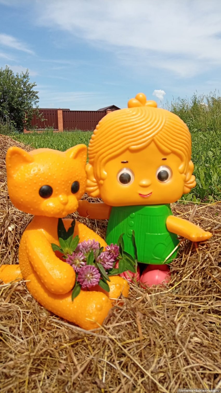 Дачное воскресенье Петруши, Дуняши и кошечки Мурочки