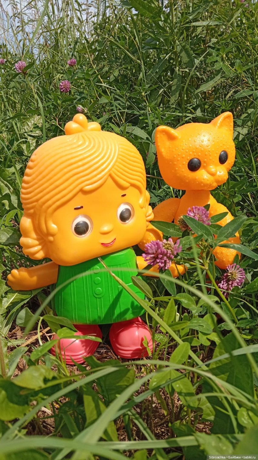 Дачное воскресенье Петруши, Дуняши и кошечки Мурочки
