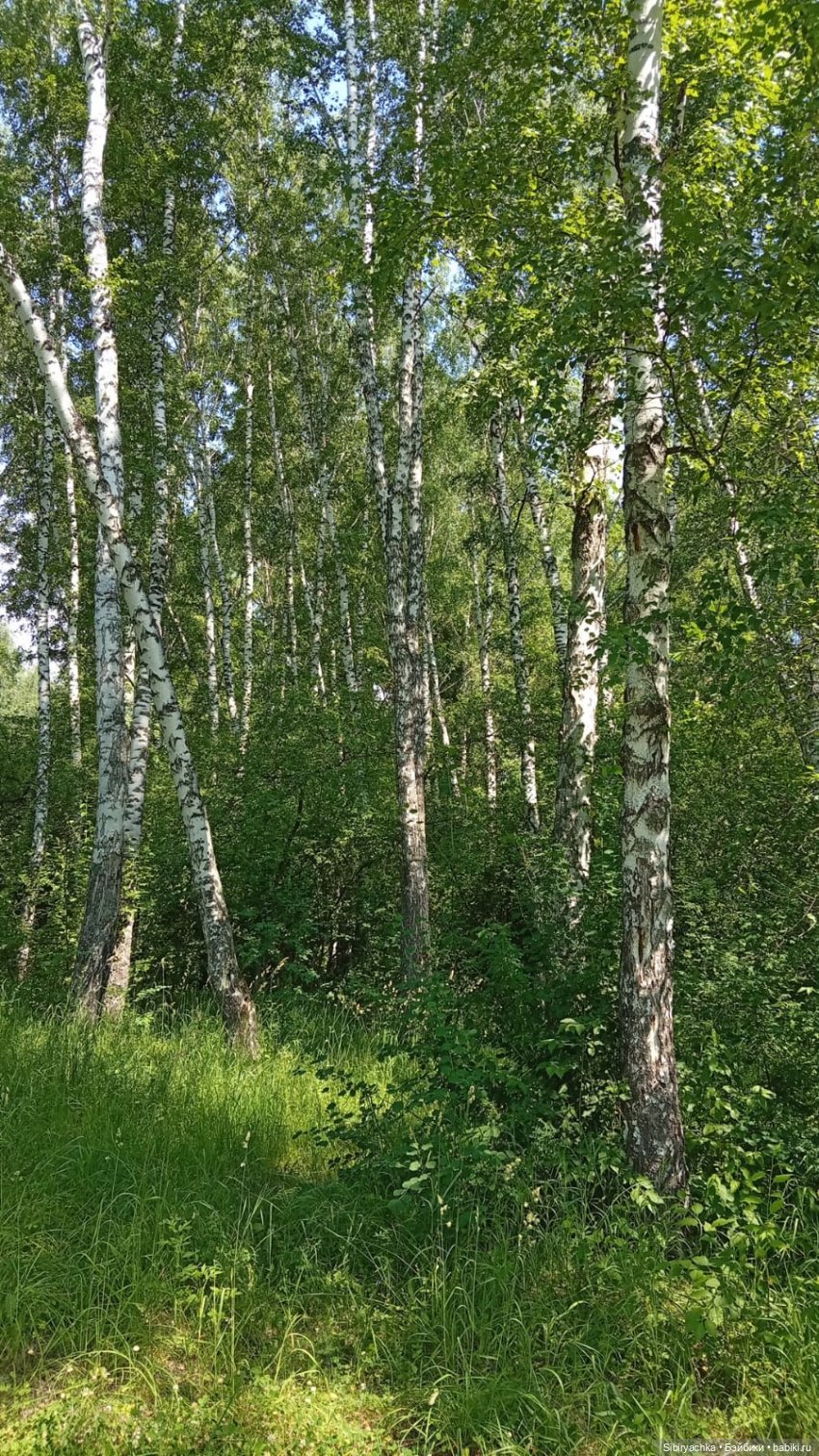 Зелёный мир Маняшки. Ч. 7