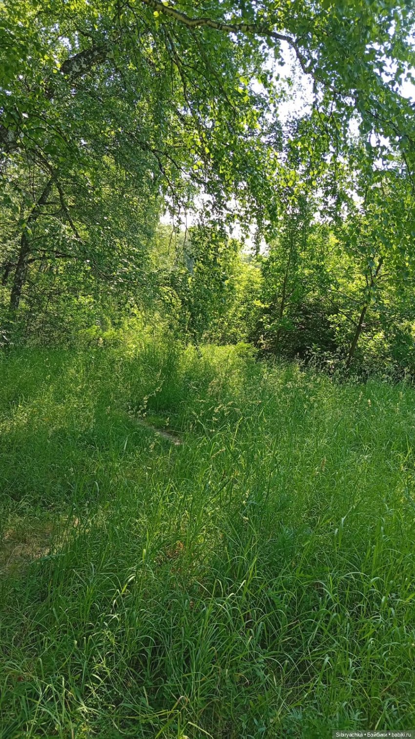 Зелёный мир Маняшки. Ч. 7