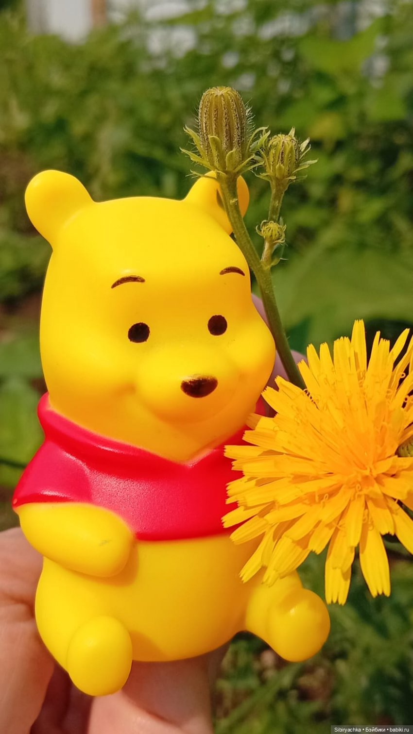 Винни и Хрюня — Другие интересные игрушки (фото 6)