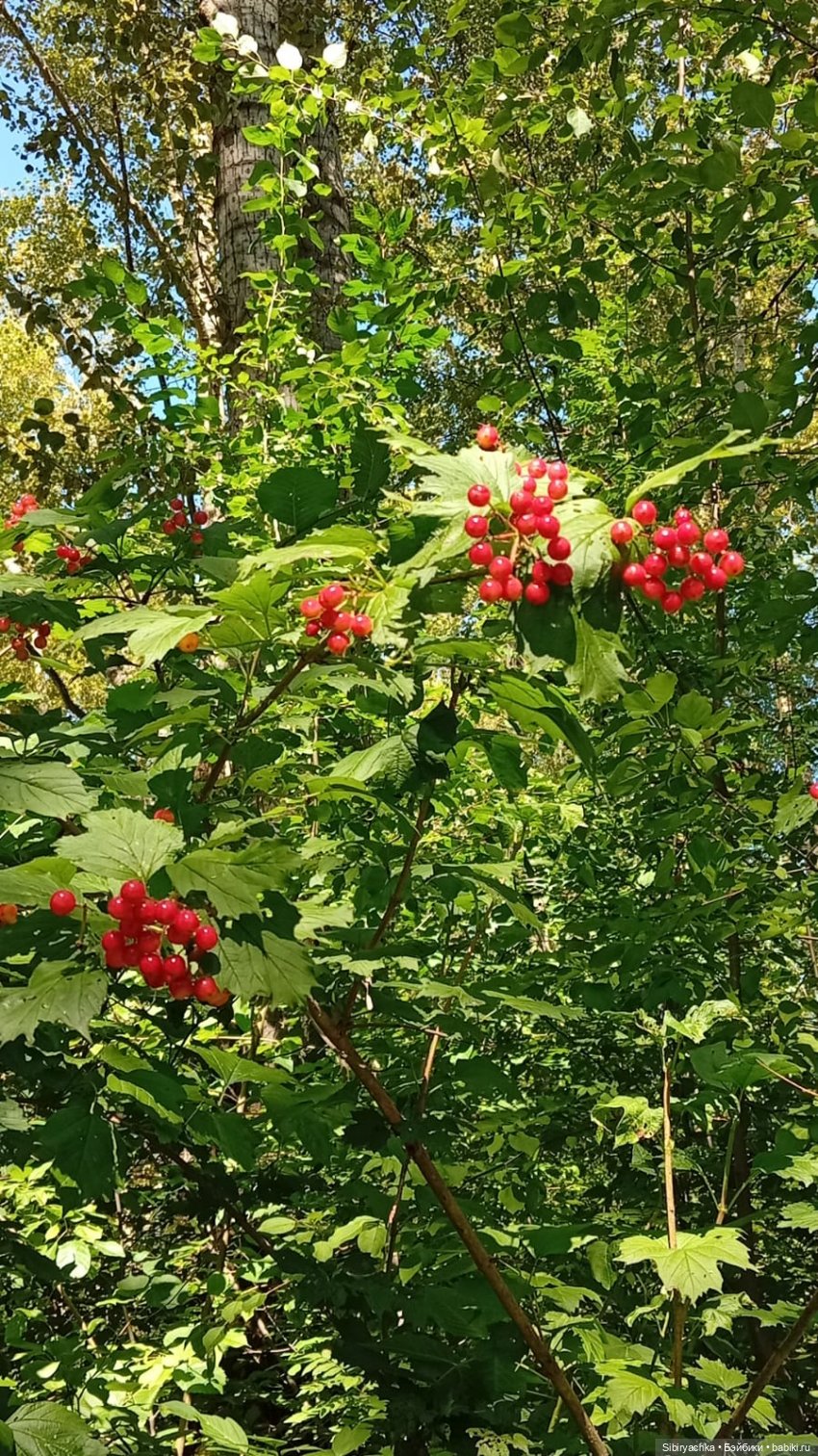Маняша на прогулке. Ч. 3 — Советские винтажные куклы (СССР): Ленигрушка