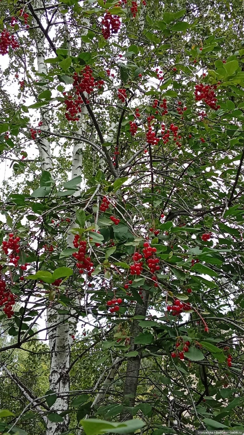 Летняя прогулка с осенними нотками