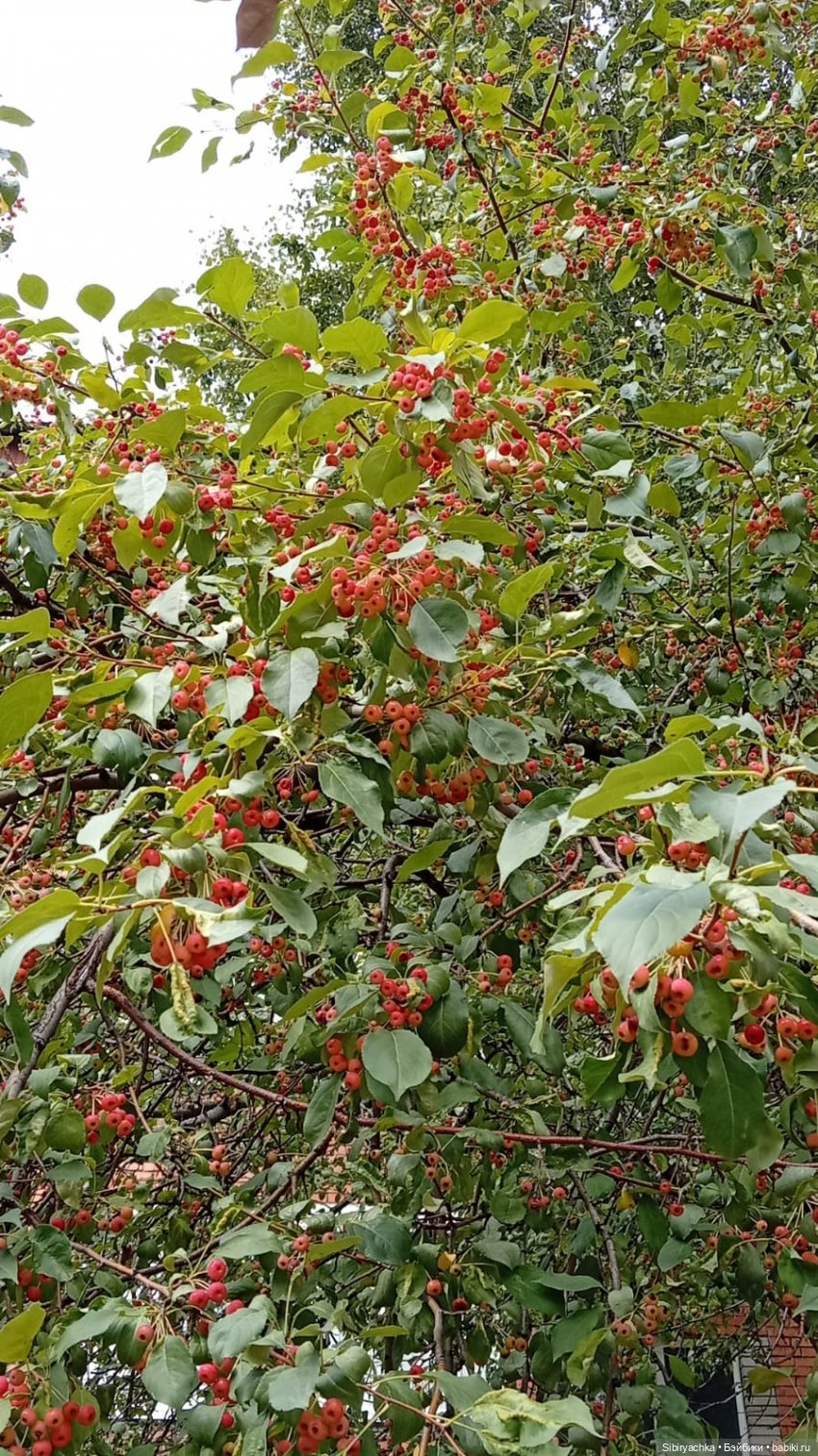 Летняя прогулка с осенними нотками