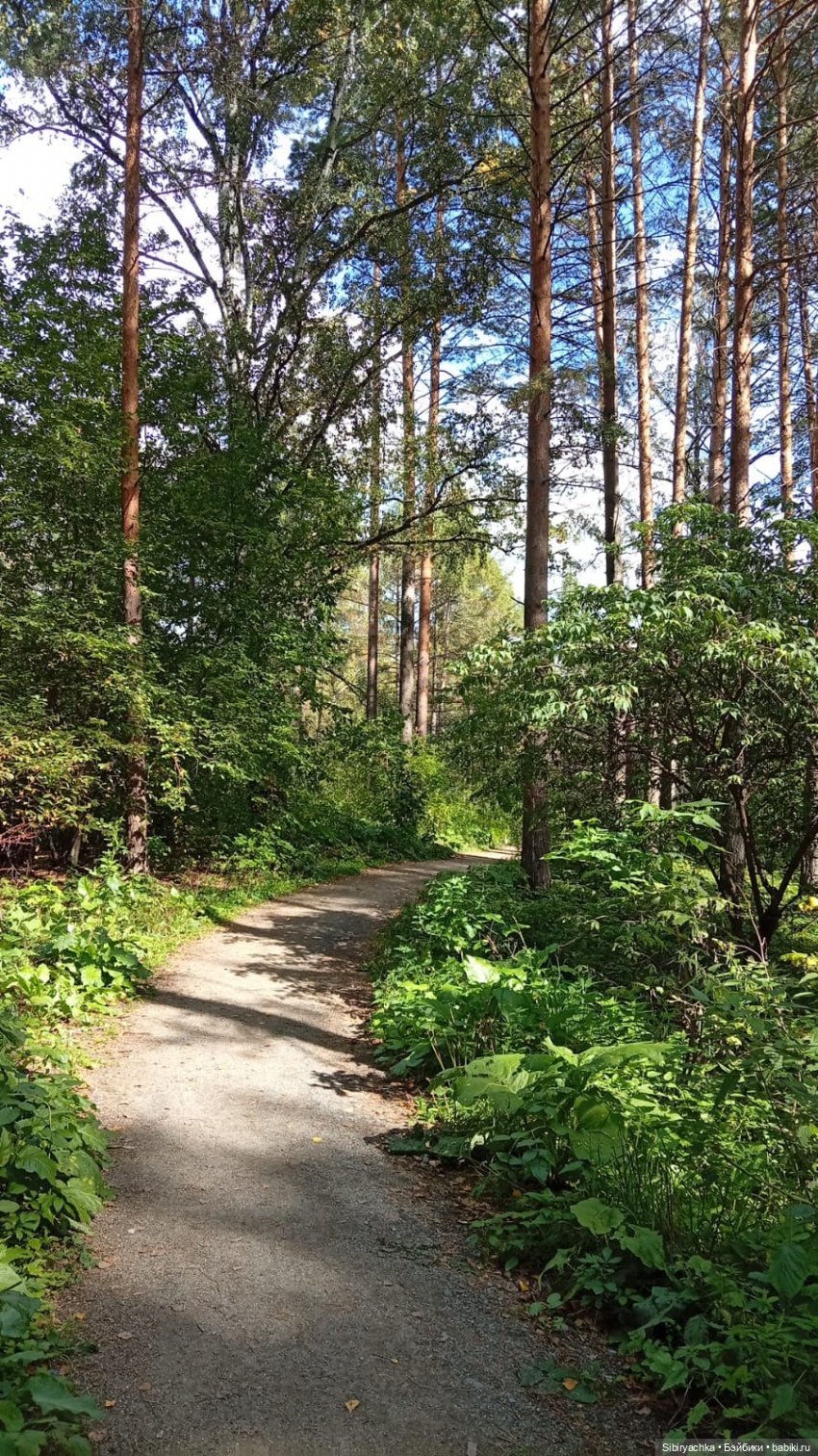 Прогулка Васи в предпоследний день лета. Ч. 1