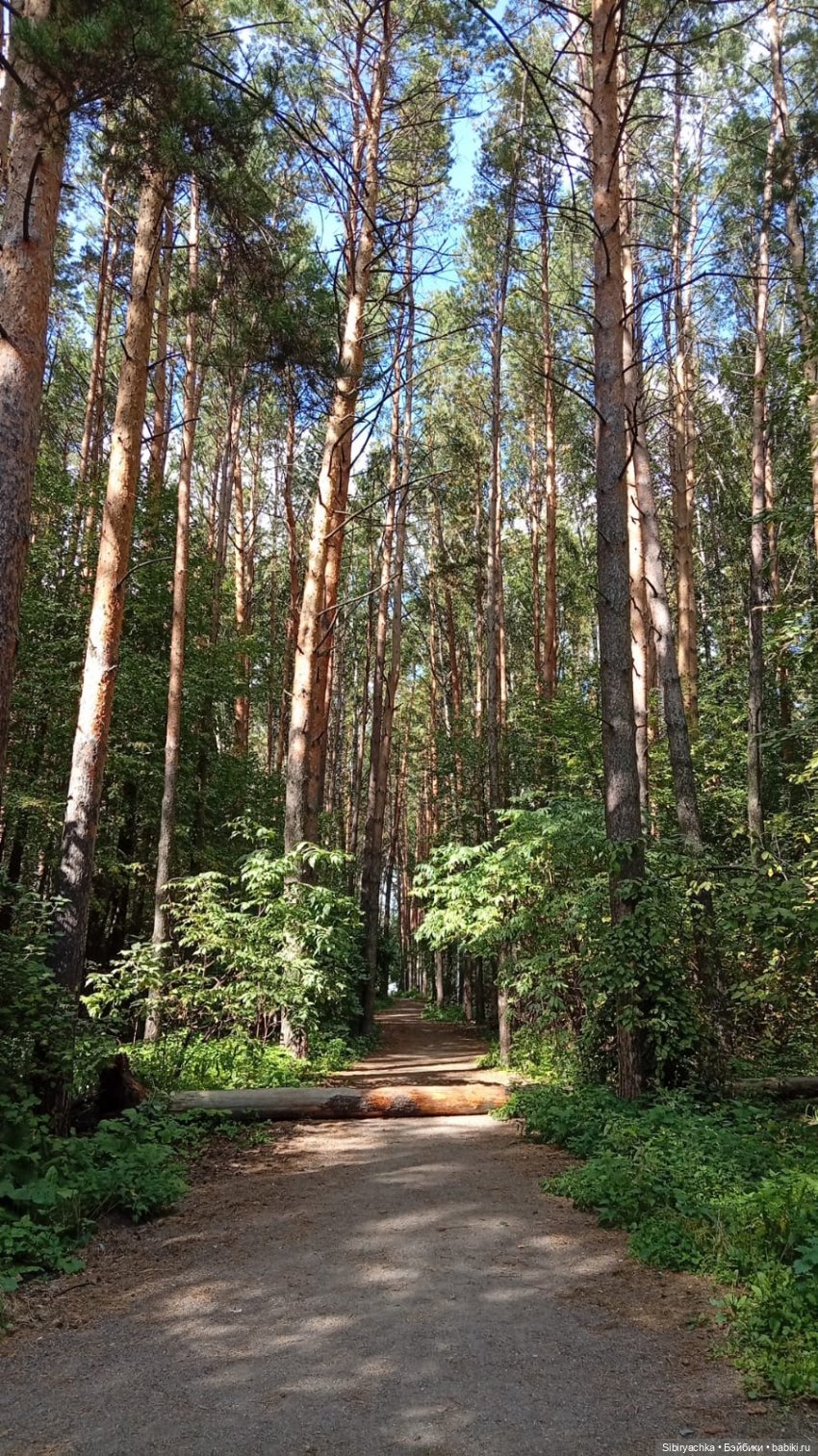 Прогулка Васи в предпоследний день лета. Ч. 1