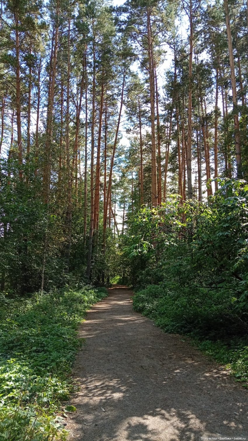Прогулка Васи в предпоследний день лета. Ч. 1