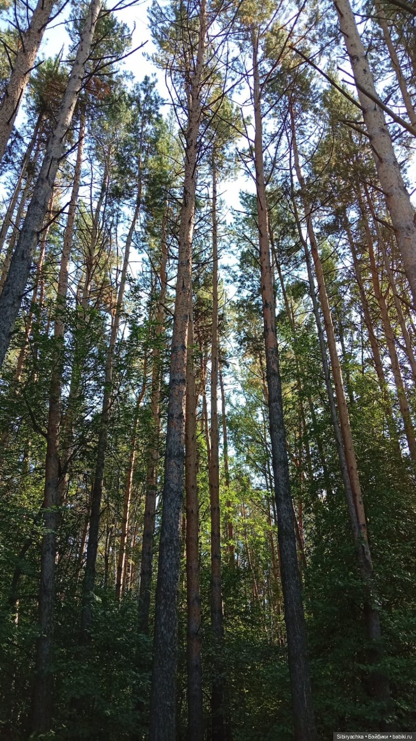 Юляшка на прогулке. Ч. 1 — Советские винтажные куклы (СССР): Ленигрушка (фото 5)
