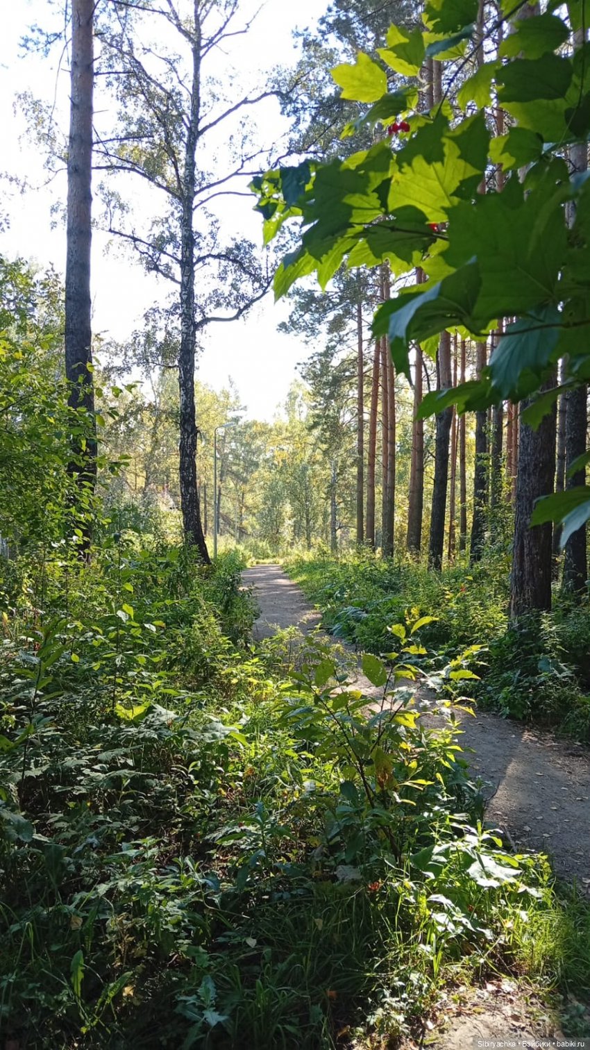 Юри и Леночка в лесу. Ч. 1