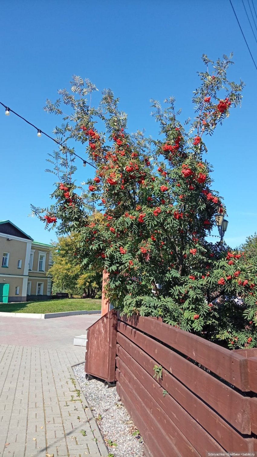 Субботняя прогулка Веты. Ч. 2 (фото 7)