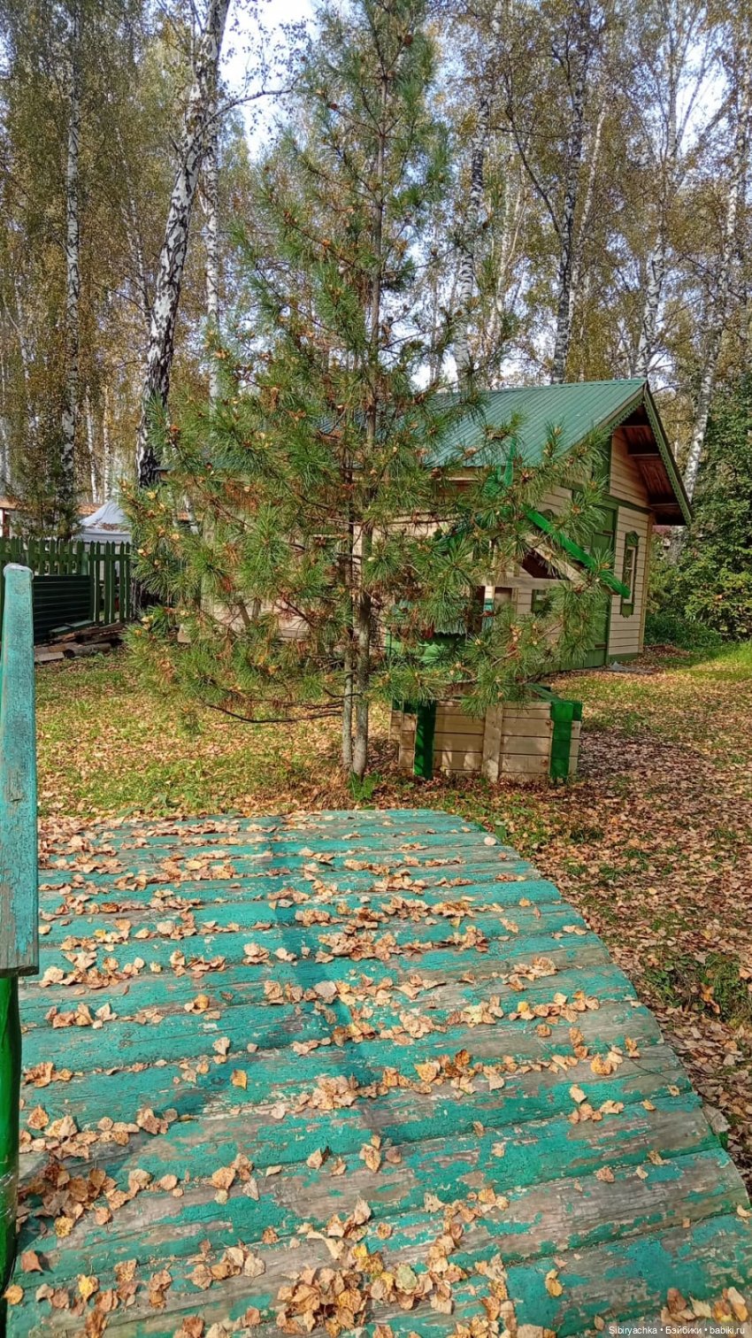 Вета на татарском подворье. Ч. 3 (фото 7)