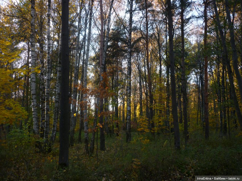 Осенняя прогулка с Аннабель или первый топик (фото 3)