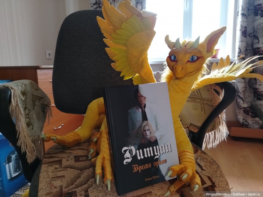 Ритуал знакомства с новой книгой (фото 4)