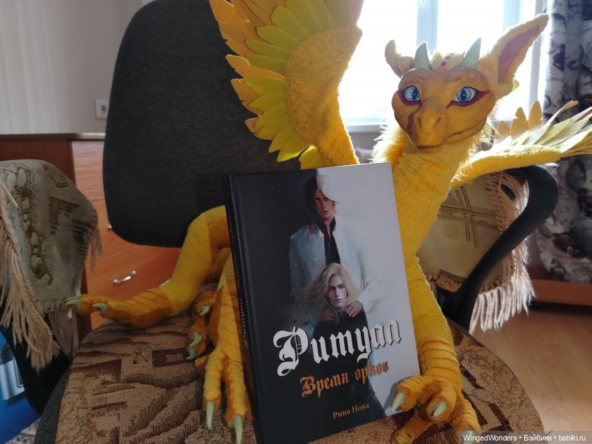 Ритуал знакомства с новой книгой (фото 3)