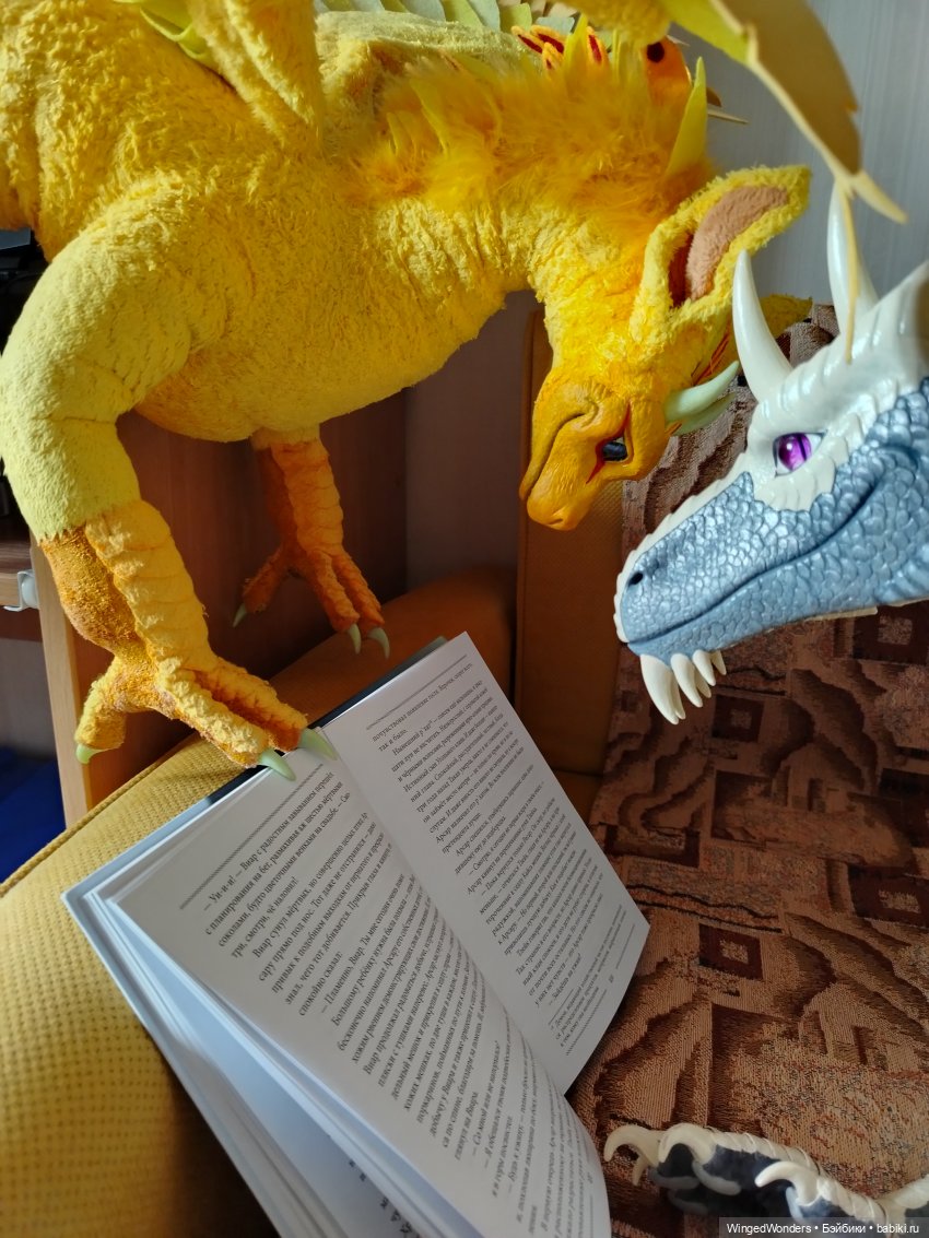 Ритуал знакомства с новой книгой