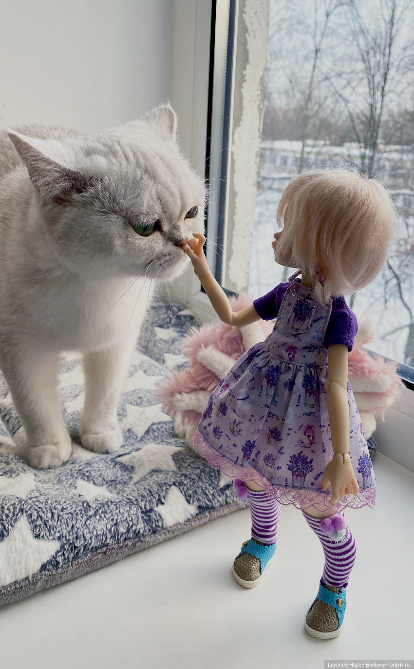 Морозное утро с лавандой — Куклы Dust of Dolls (Даст оф Доллс): BJD (БЖД) (фото 4)