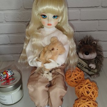 Моя коллекция шарнирных кукол