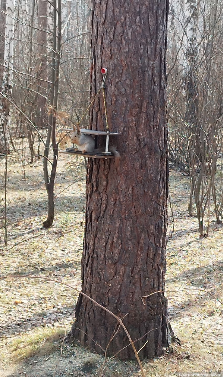 Прогулка Миланы — Коллекции шарнирных (фото 8)