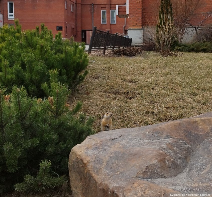 Прогулка Миланы — Коллекции шарнирных (фото 6)