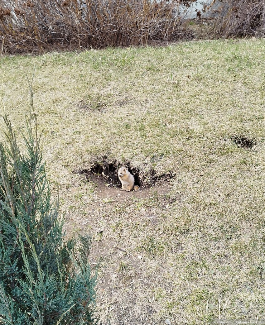 Прогулка Миланы — Коллекции шарнирных (фото 5)