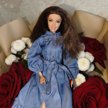 Моя новенькая, Холли