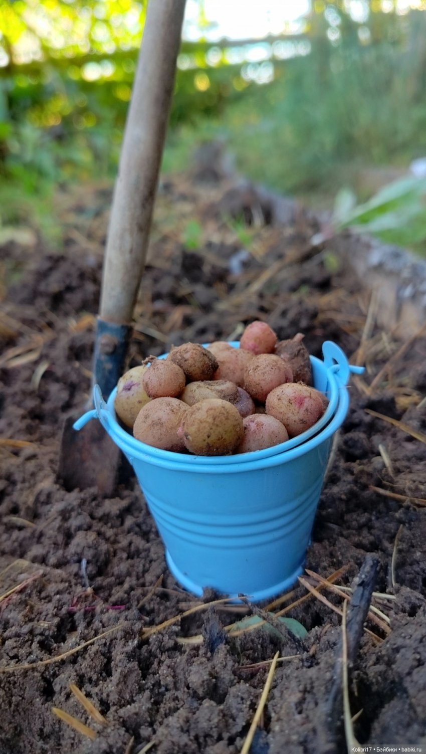 Здрасте! А я к вам. Или что может быть лучше подарка на 8 марта кукольнику? Правильно! Ещё одна кукла.)