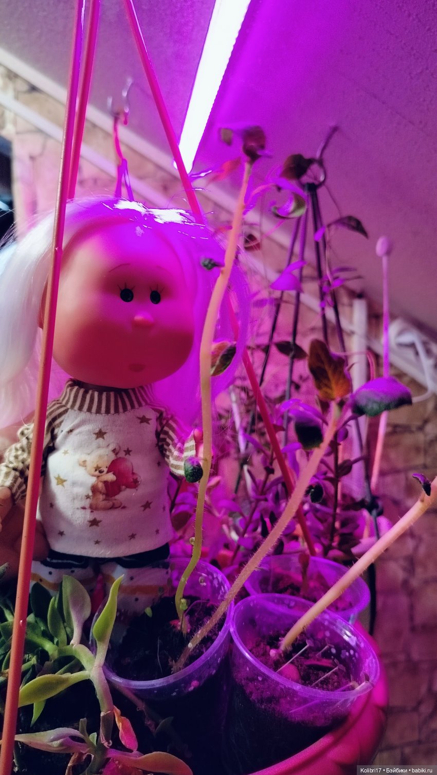 Здрасте! А я к вам. Или что может быть лучше подарка на 8 марта кукольнику? Правильно! Ещё одна кукла.)